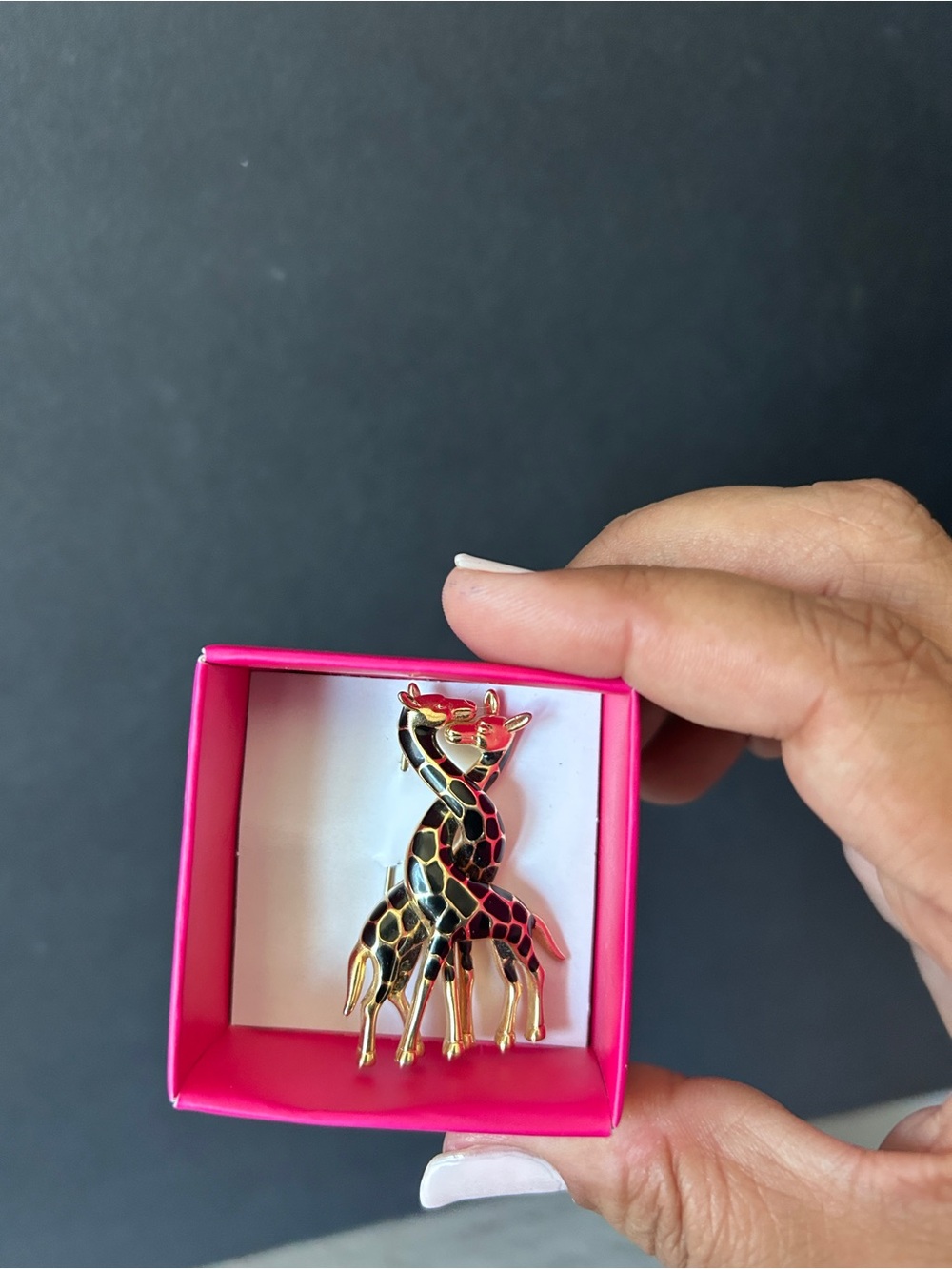 Gold-Tone Black Enamel Giraffe Brooch - Women's Jewelry